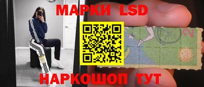 a pvp Аргун