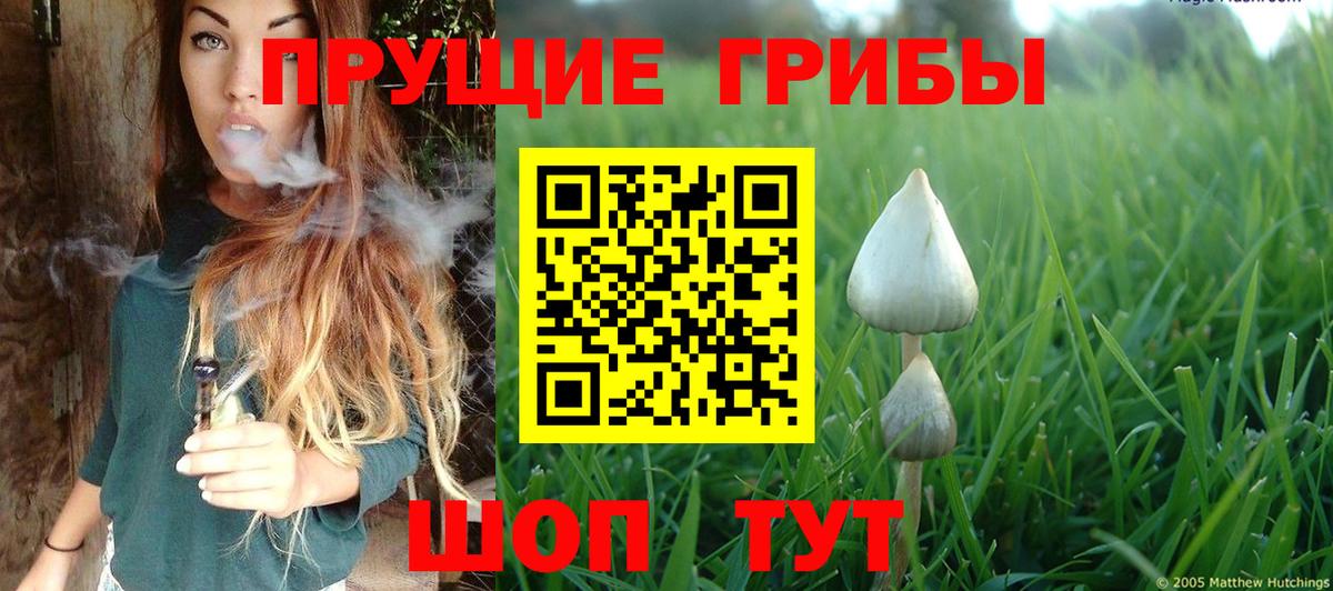 Псилоцибиновые грибы GOLDEN TEACHER  Вход с VPN  Беслан  Галлюциногенные грибы мицелий 