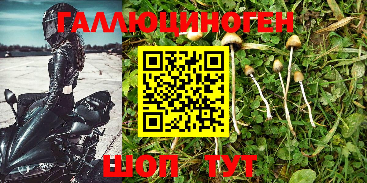 Галлюциногенные грибы мухоморы Беслан